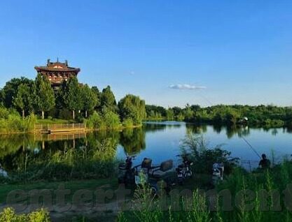 国产区麻豆视频-国产区，麻豆视频中的网络文化与社会现象探寻