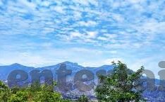 国产糖心vlog在线观看-消费的多元视角，国产糖心Vlog在线观影的独到体验