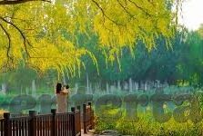 快猫成人段视频-快猫成人段视频，网络文化中的灰色地带与警示
