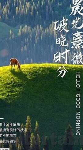 糖心vlog官网下载地址-探索互联网的无限魅力，轻松获取糖心vlog的完美途径